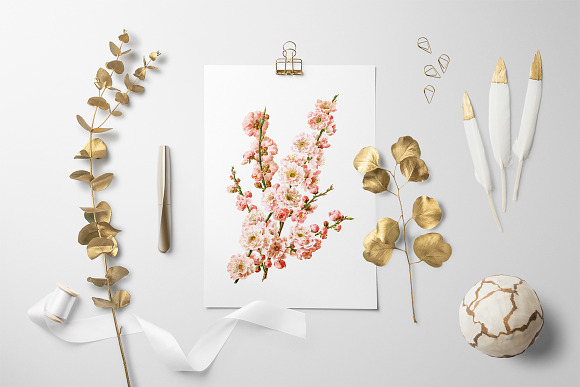 Blossoms Plum Vintage Floral in Illustrations - product preview 3