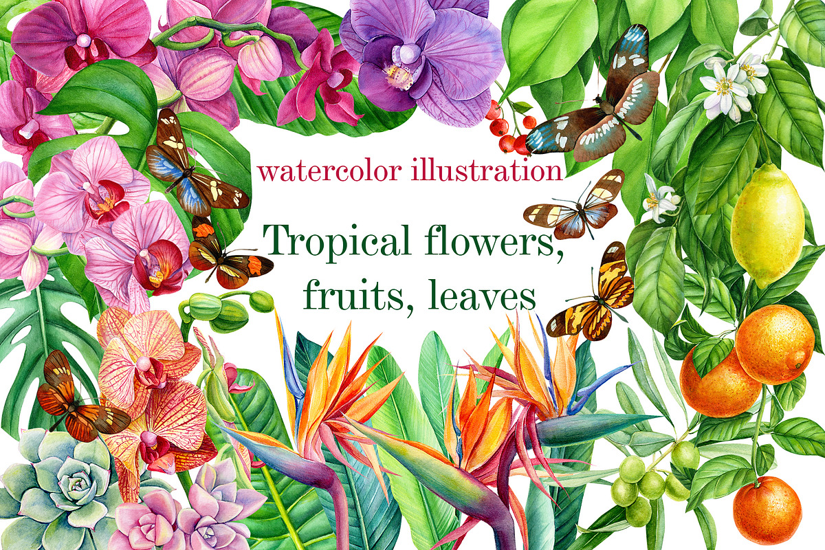 Tropical flowers, fruits, leaves in Illustrations - product preview 8