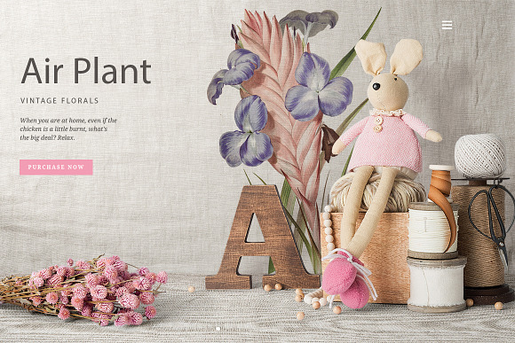 Air Plant Purple Flowers Vintage in Illustrations - product preview 3