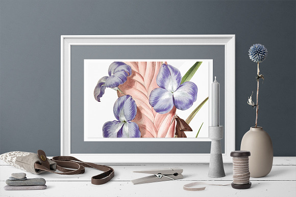Air Plant Purple Flowers Vintage in Illustrations - product preview 5