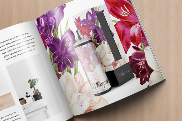 Gladiolus Purple Pink Flowers in Illustrations - product preview 5