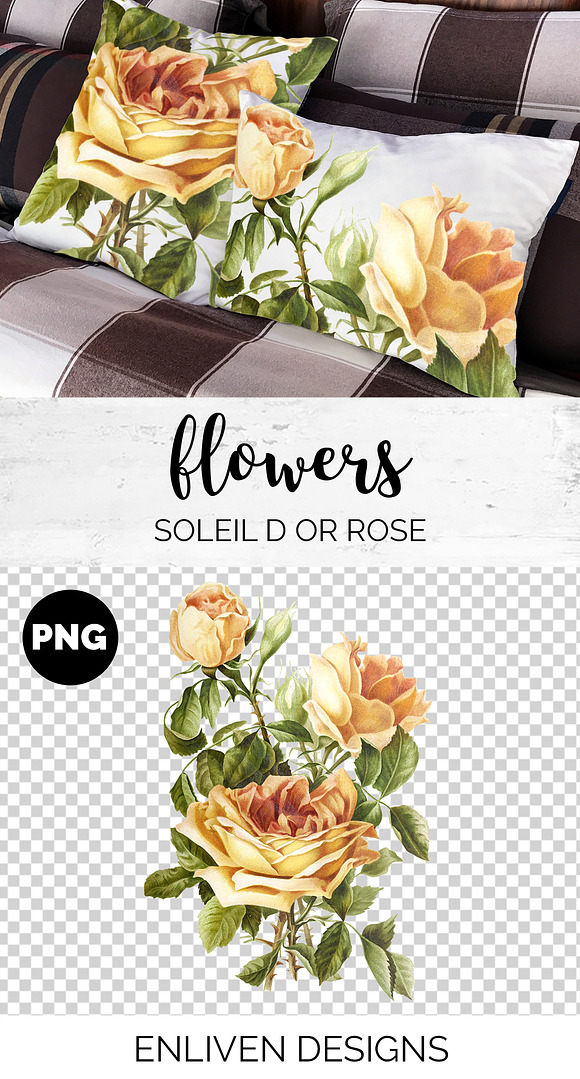 Rose Yellow Flowers in Illustrations - product preview 1