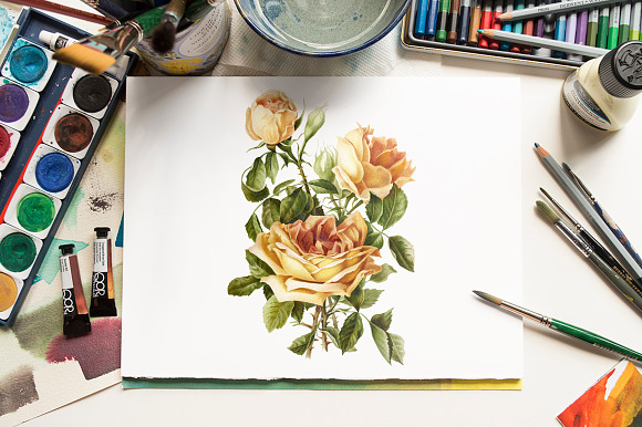 Rose Yellow Flowers in Illustrations - product preview 3