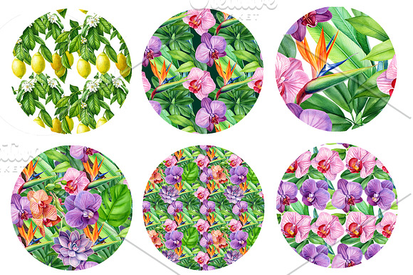 Tropical flowers, fruits, leaves in Illustrations - product preview 8
