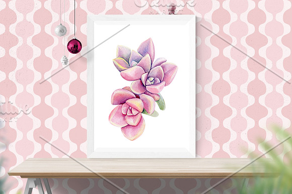 Tropical flowers, fruits, leaves in Illustrations - product preview 10