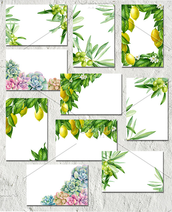 Tropical flowers, fruits, leaves in Illustrations - product preview 12