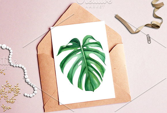 Tropical flowers, fruits, leaves in Illustrations - product preview 13