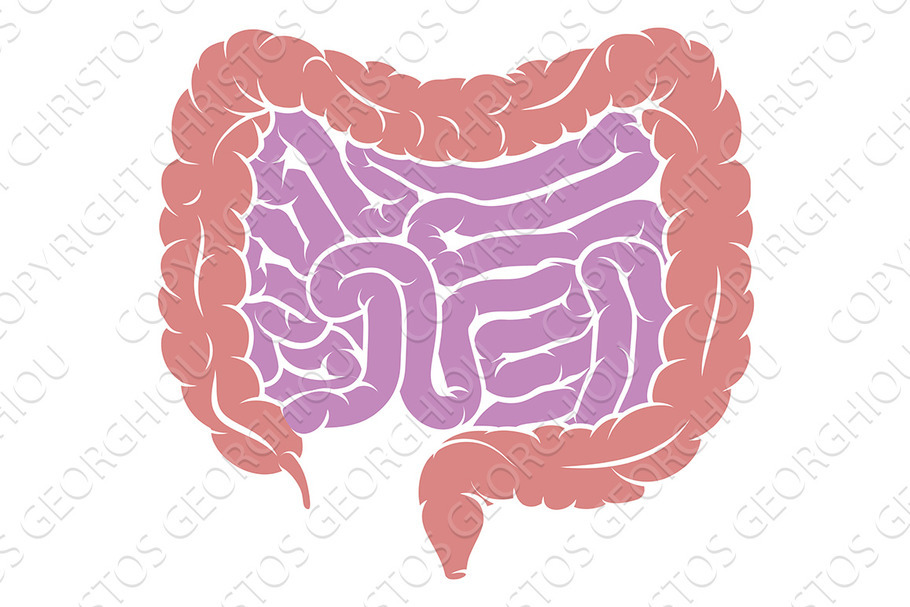 Diagram of Intestine Gut Digestive in Objects - product preview 8