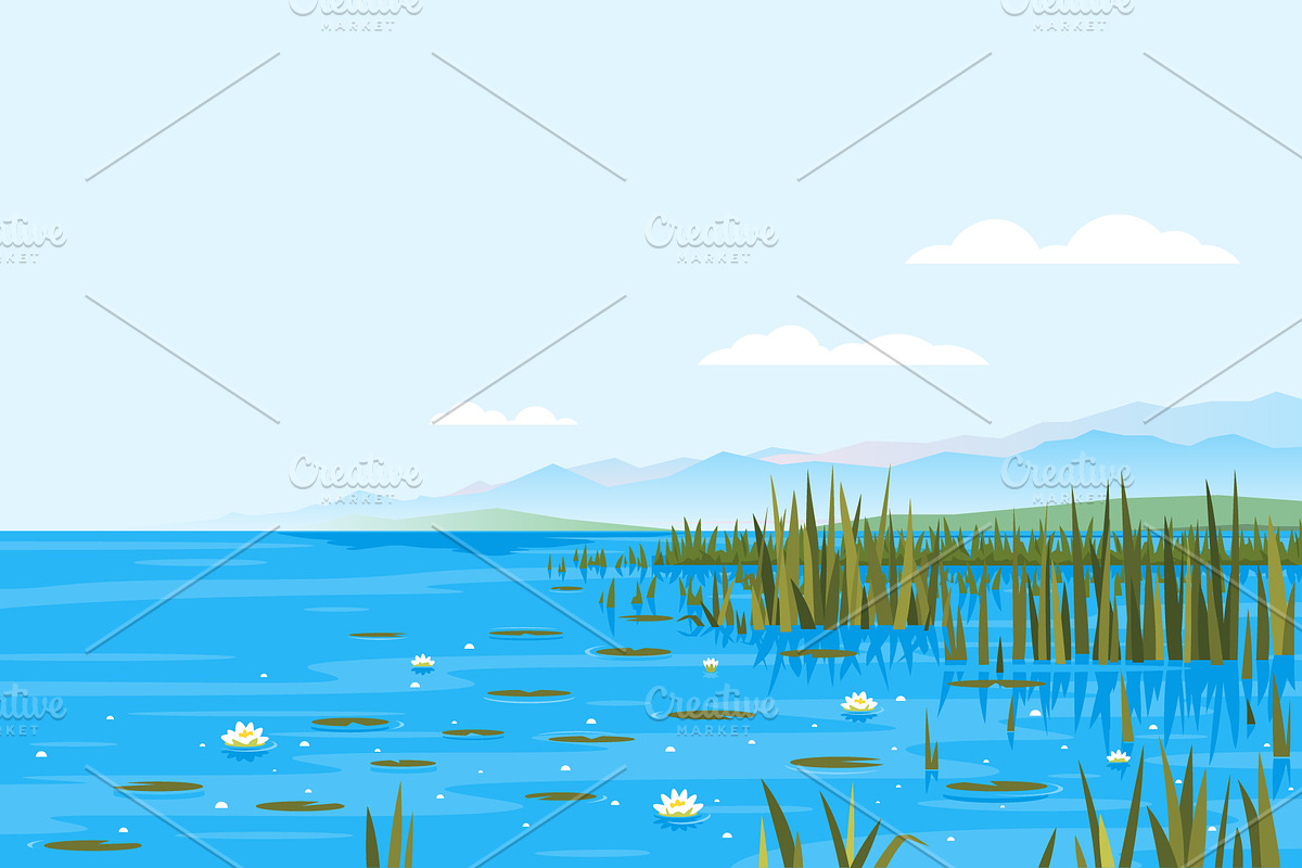 Bulrush Plants with Water Lily in Illustrations - product preview 8