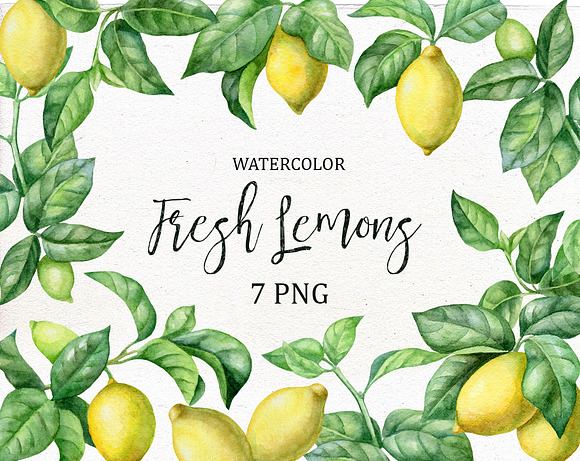 Watercolor Lemons Clipart. in Illustrations - product preview 1