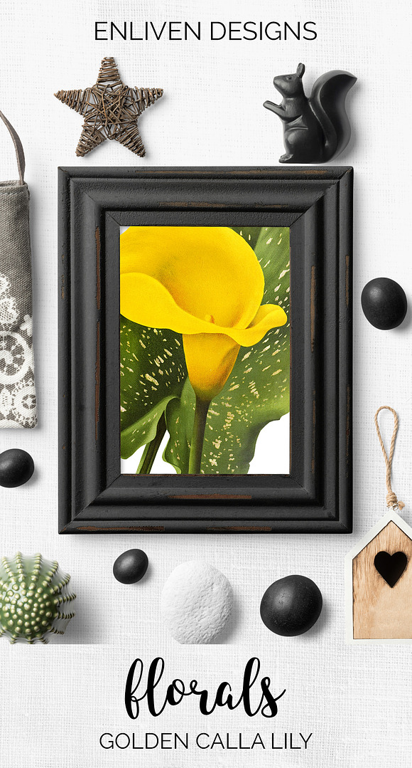 Lily Yellow Flowers Lilies in Illustrations - product preview 7