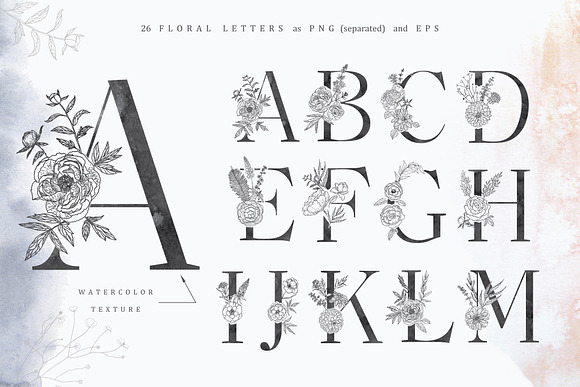 Floral Alphabets. Bundle of Five ABC in Illustrations - product preview 4