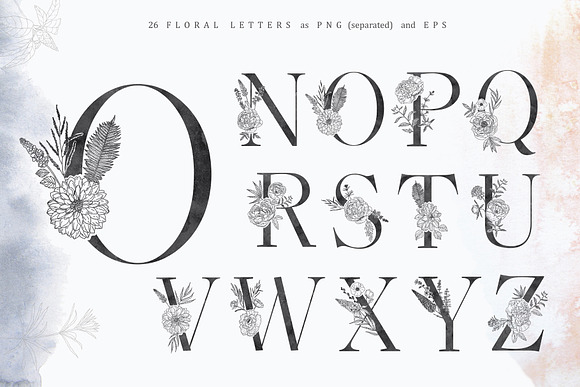 Floral Alphabets. Bundle of Five ABC in Illustrations - product preview 5