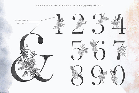 Floral Alphabets. Bundle of Five ABC in Illustrations - product preview 6