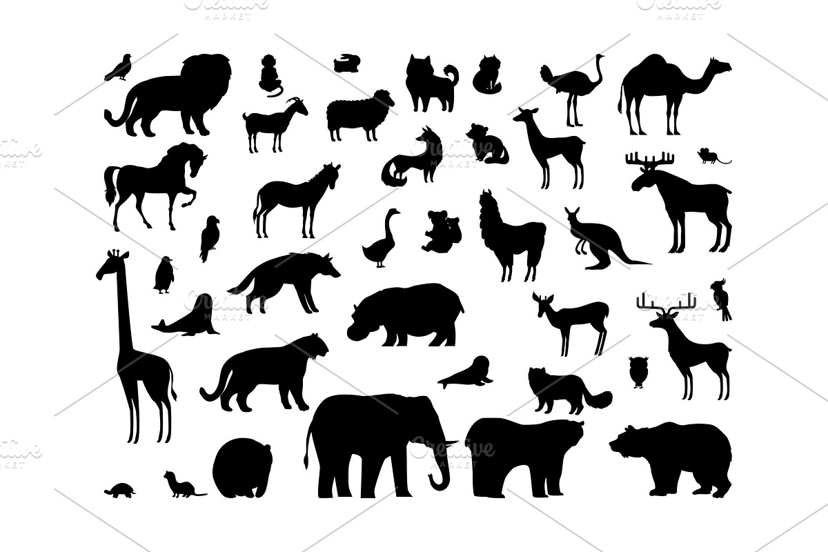 Animals Silhouettes Set in Illustrations - product preview 8