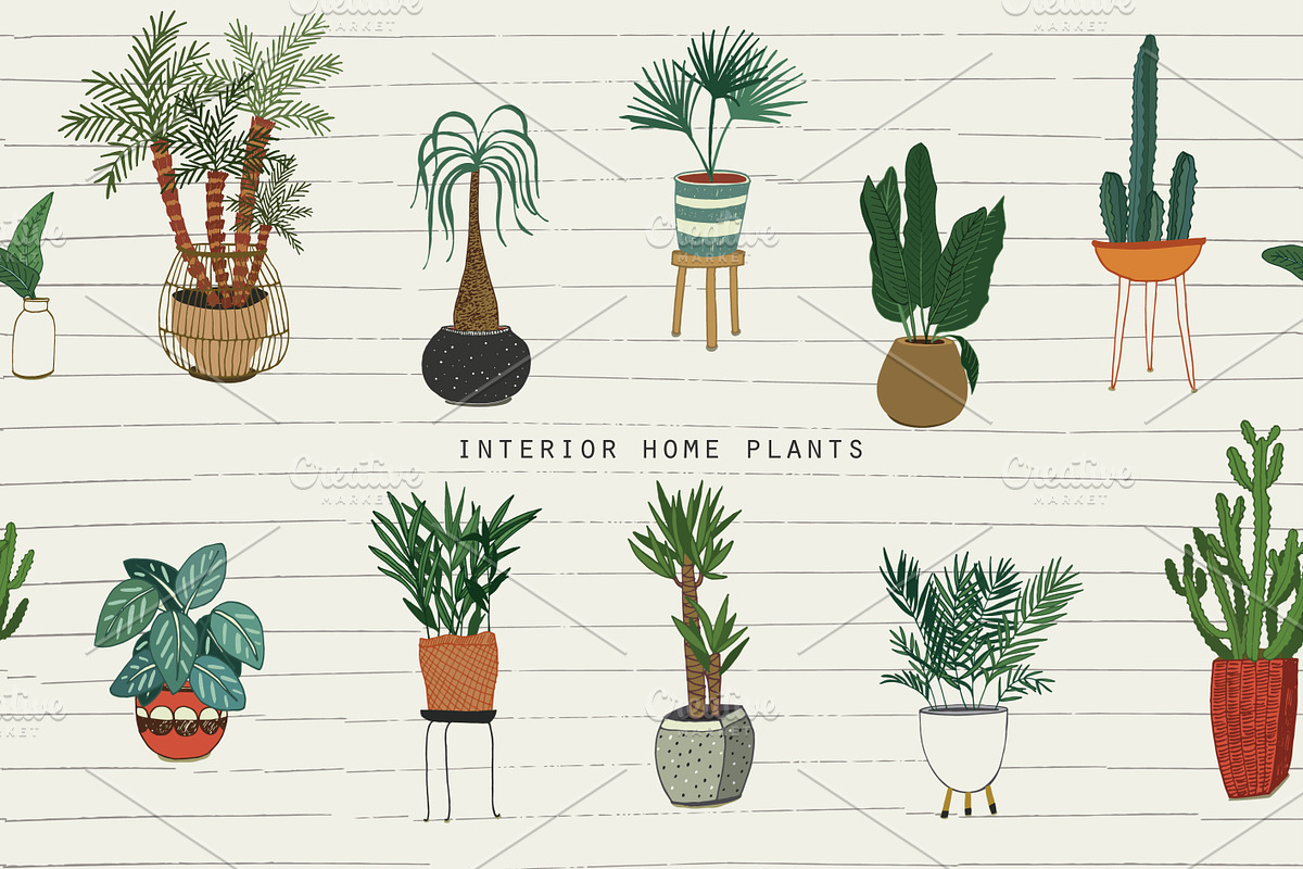 Interior Home Plants in Patterns - product preview 8
