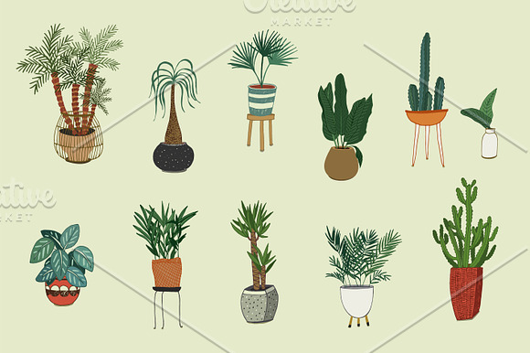 Interior Home Plants in Patterns - product preview 1