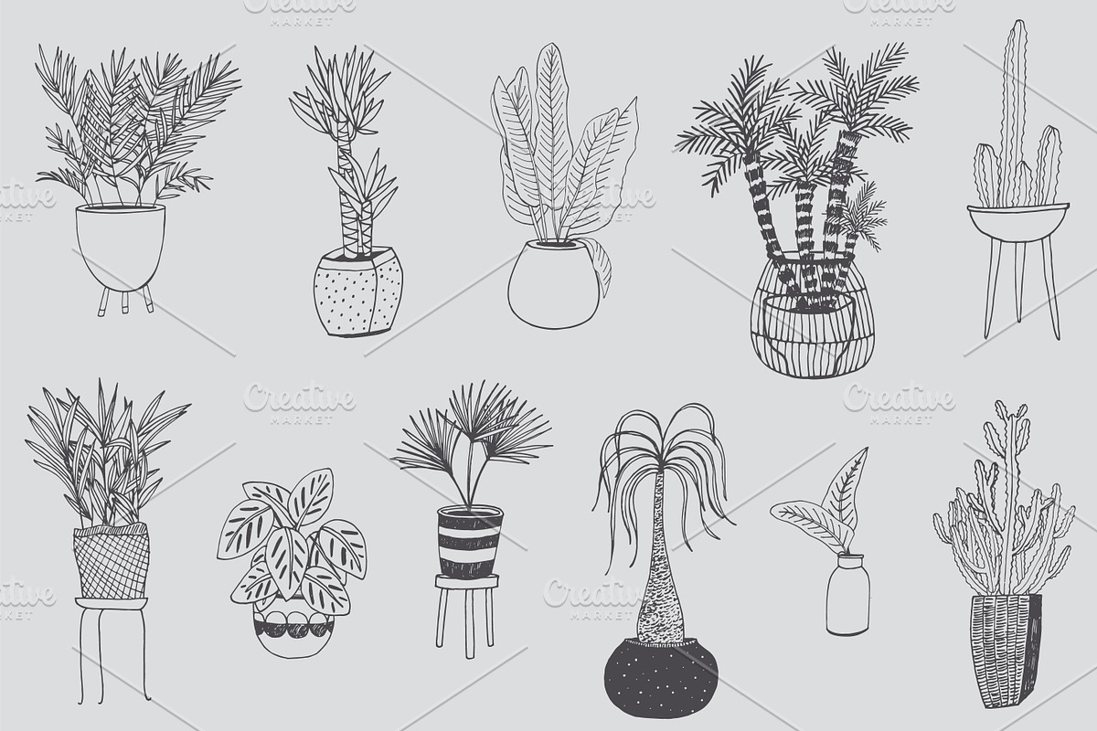 Interior Home Plants | Custom-Designed Graphic Patterns ~ Creative Market