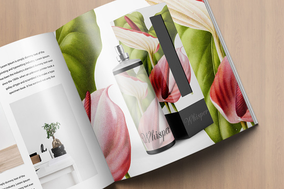 Anthurium White Pink Laceleaf Flower in Illustrations - product preview 5