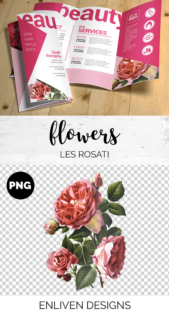 Rose Pink Rose in Illustrations - product preview 1