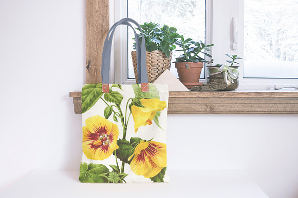 Yellow Mallow Abutilon Sinense in Illustrations - product preview 5