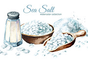 Sea salt. Watercolor collection