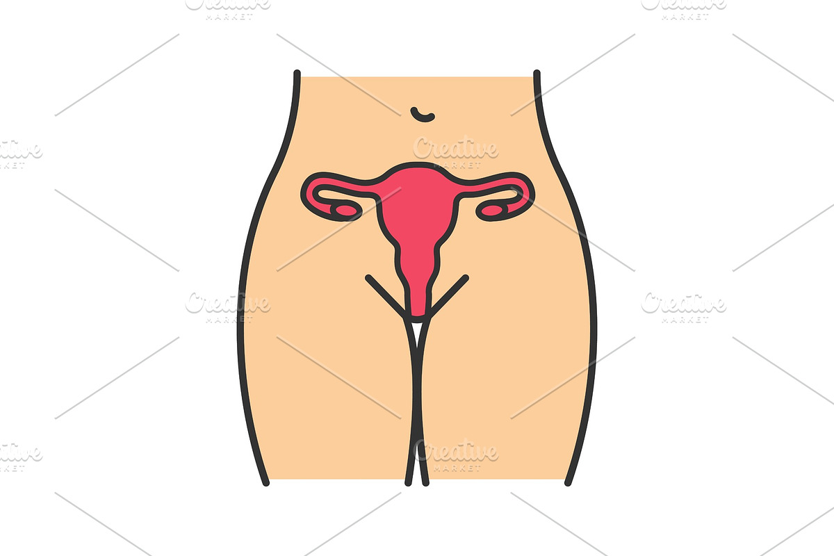 Female reproductive system icon in Icons - product preview 8
