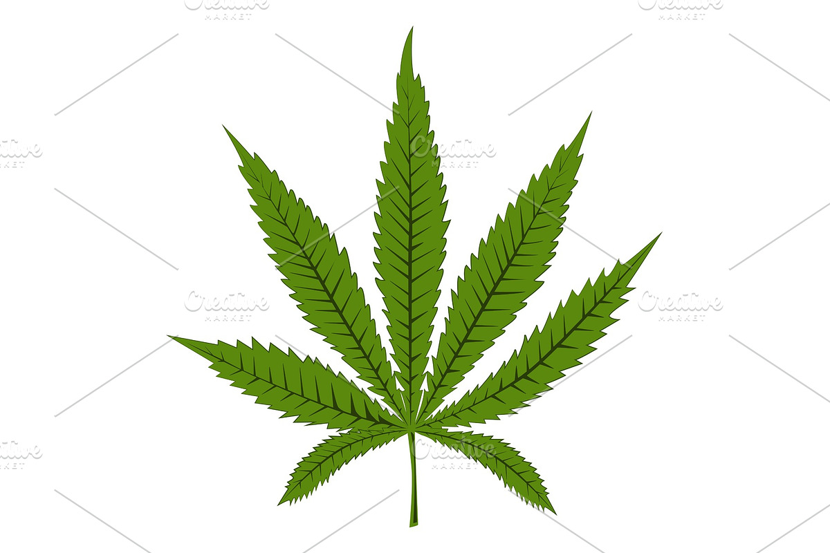 Marijuana, canibas, or hemp leaf in Objects - product preview 8