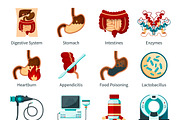 Digestive system flat icon set