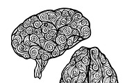 Human brain doodle set