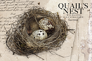 Quail's Nest - Sepia Edition