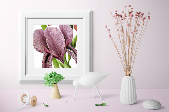 Iris Clipart Flower in Illustrations - product preview 5