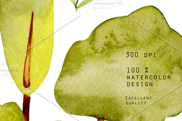 Trees. Watercolor clip art. in Illustrations - product preview 6