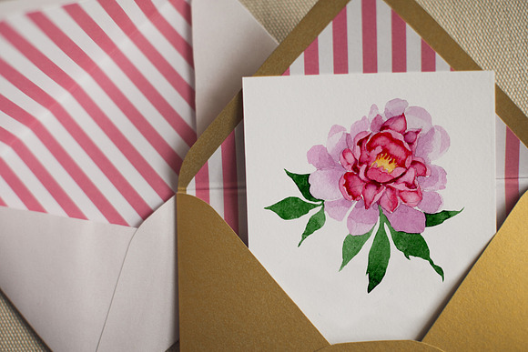 PINK PEONIES Watercolor png in Illustrations - product preview 2