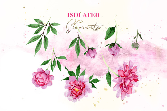 PINK PEONIES Watercolor png in Illustrations - product preview 5