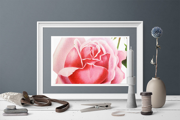 Roses Pink Roses in Illustrations - product preview 5