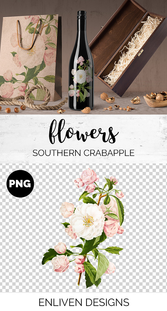 Flowers: Southern Crabapple Bloom in Illustrations - product preview 1