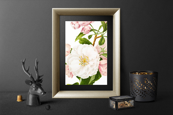 Flowers: Southern Crabapple Bloom in Illustrations - product preview 3