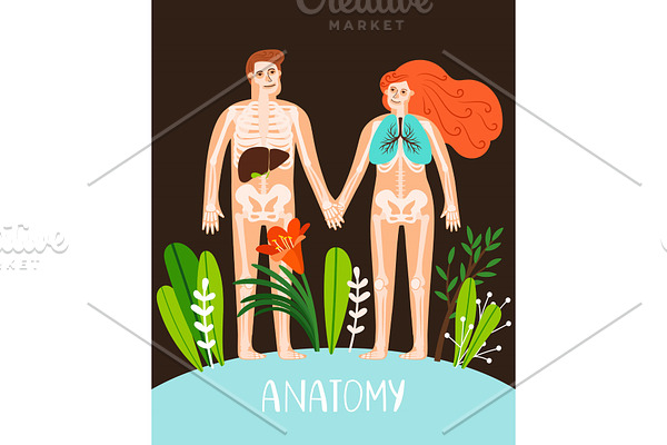 People anatomy poster