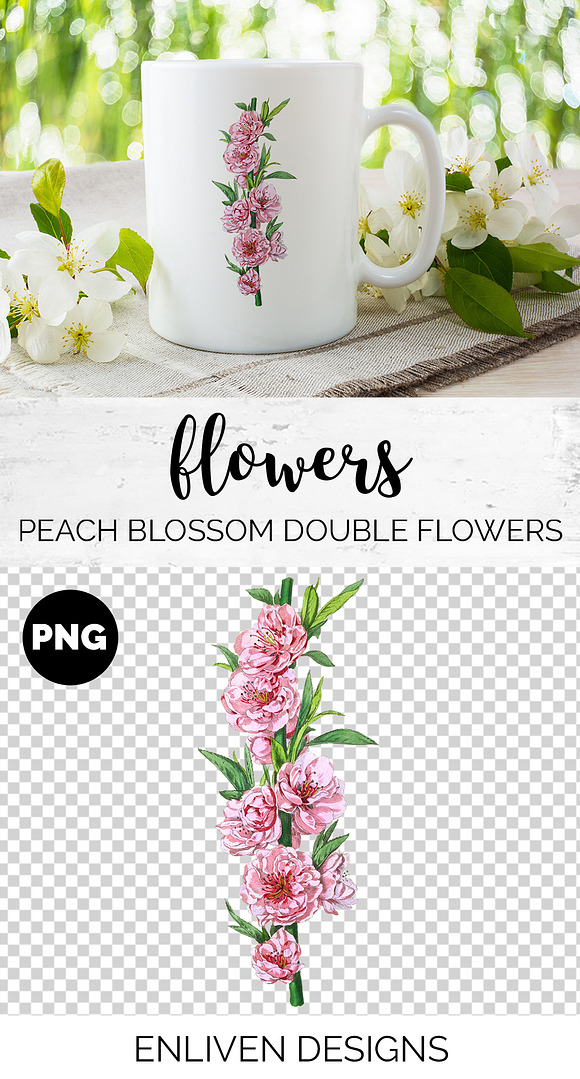 Peach Blossom Pink Florals Vintage in Illustrations - product preview 1