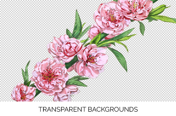 Peach Blossom Pink Florals Vintage in Illustrations - product preview 2