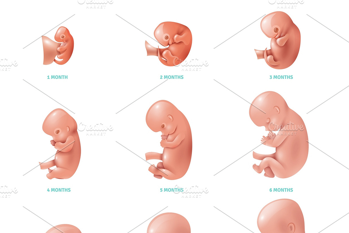 Human fetus inside icons set in Icons - product preview 8