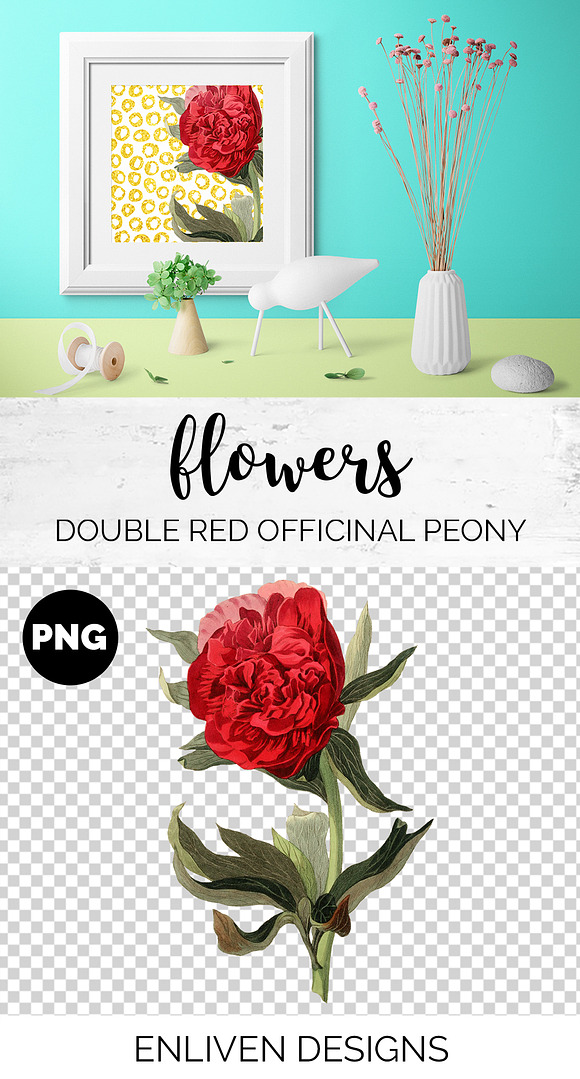 Peony Clipart Red Flowers in Illustrations - product preview 1
