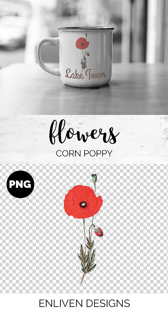 Red Poppy Corn Poppies Vintage Flora in Illustrations - product preview 1