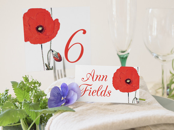 Red Poppy Corn Poppies Vintage Flora in Illustrations - product preview 3