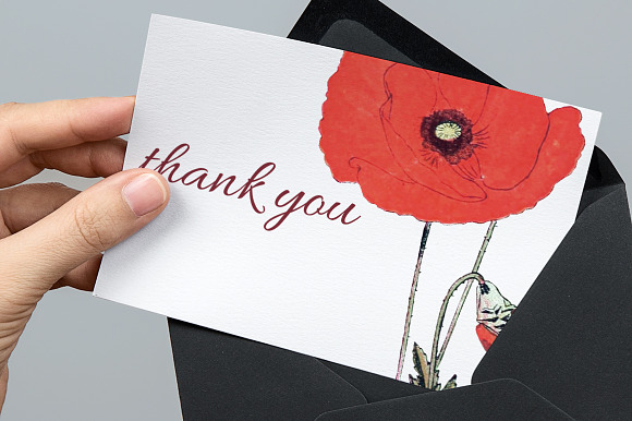 Red Poppy Corn Poppies Vintage Flora in Illustrations - product preview 5