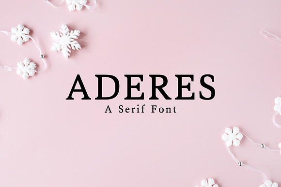 New Year SALE! - Serif Bundle! in Serif Fonts - product preview 3