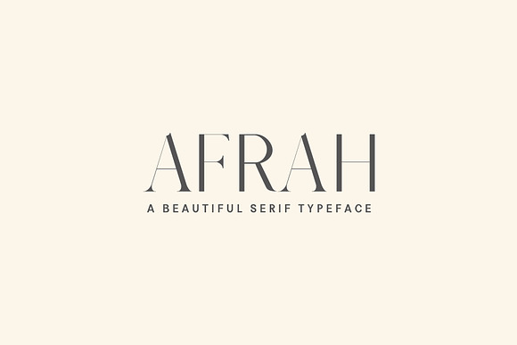 New Year SALE! - Serif Bundle! in Serif Fonts - product preview 4
