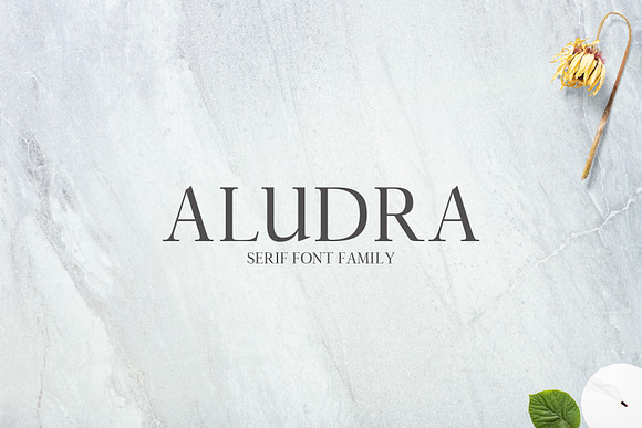 New Year SALE! - Serif Bundle! in Serif Fonts - product preview 6