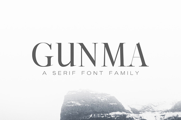New Year SALE! - Serif Bundle! in Serif Fonts - product preview 10